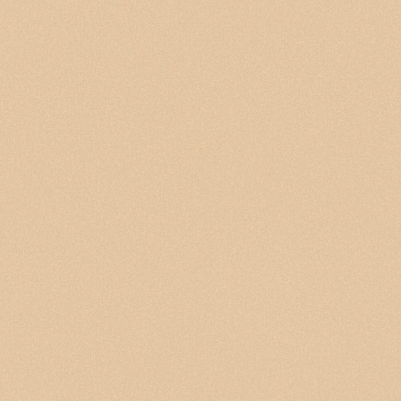 8779-19